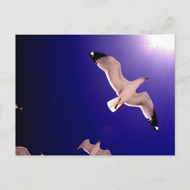 Carte Postale ciel s'ouvre (Devant)