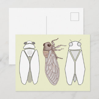 Carte Postale Cigale et cigalon graphiques.