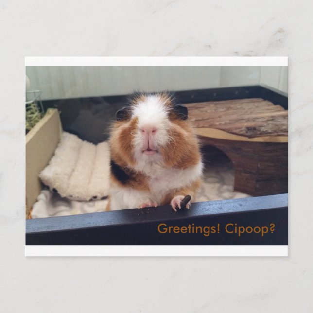 Carte postale cigar (Devant)