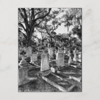 Cimetière Bonaventure, Savannah GA