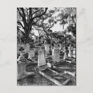 Carte Postale Cimetière Bonaventure, Savannah GA