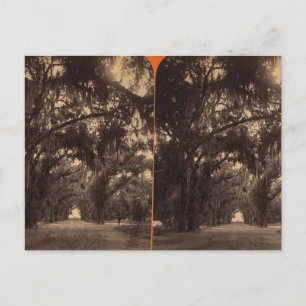 Carte Postale Cimetière Bonaventure, Savannah, Ga c. 1886