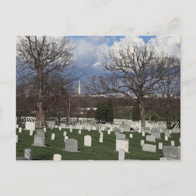 Carte Postale Cimetière d'Arlington (Devant)