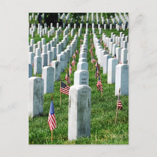 Carte Postale Cimetière d'Arlington (Devant)