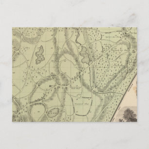 Carte Postale Cimetière de Woodlawn