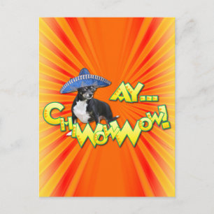 Carte Postale Cinco de Mayo - Ay ChWowWow ! -Chihuahua