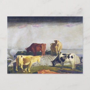 Carte Postale Cinq vaches - Peinture de George Bellows
