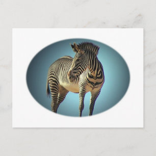 Carte postale circulaire Zebra