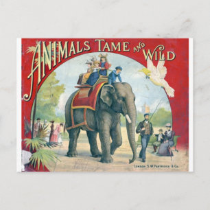 Carte postale Circus Vintage Design