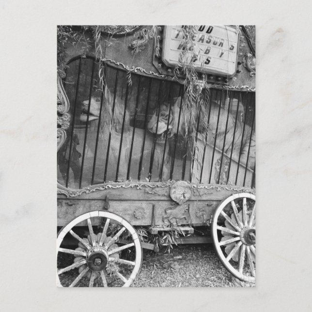 Carte Postale Circus Wagon (Devant)