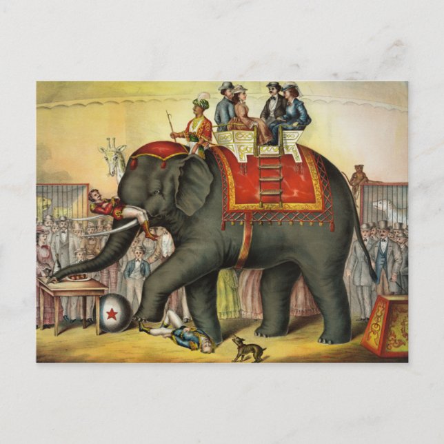 Carte Postale Cirque vintage (Devant)