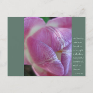 Carte Postale Citation Anais Nin