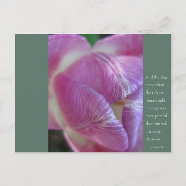 Carte Postale Citation Anais Nin (Devant)