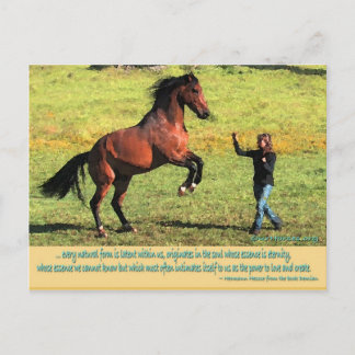 Carte Postale Citation arrière Patrik