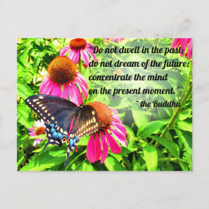 Carte Postale Citation Bouddha Black Swallowtail Butterfly Flowe