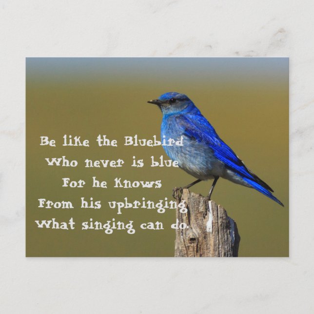 Carte Postale Citation de Bluebird (Devant)