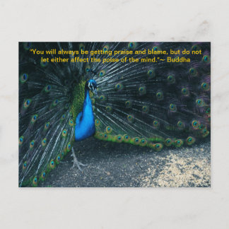 Carte postale Citation de Bouddha