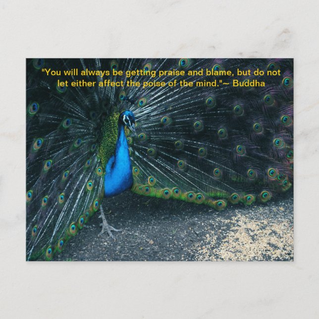 Carte postale Citation de Bouddha (Devant)