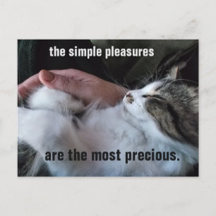 Carte Postale Citation de chaton mignon Simples plaisirs Personn