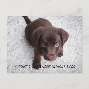 Carte Postale Citation de chiot