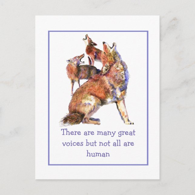 Carte Postale Citation de Coyotes Inspirationnels Humains de Voi (Devant)