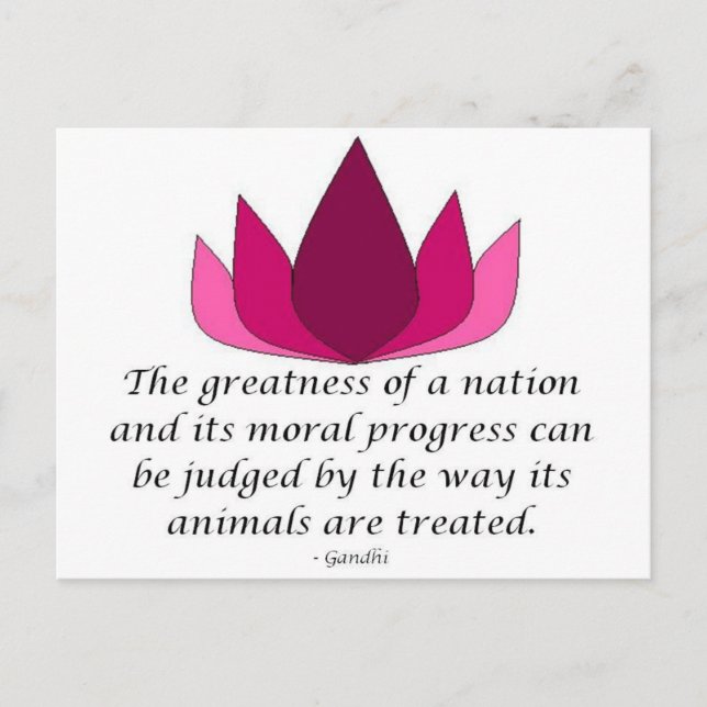 Carte Postale Citation de Gandhi (Devant)