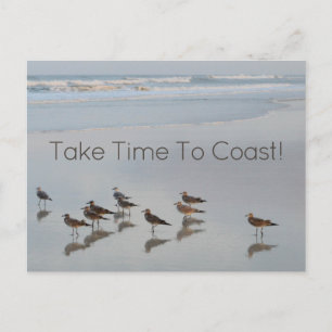 Carte Postale Citation de la côte de la plage Oiseaux Photograph