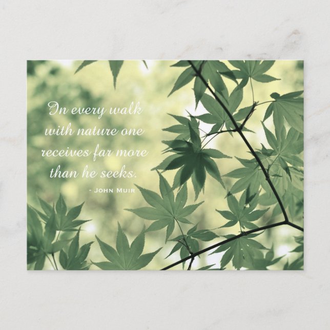 Carte Postale Citation de la nature inspirante (Devant)