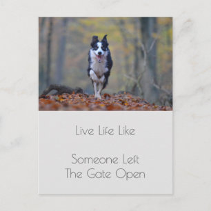 Carte Postale Citation de la positivité du chien