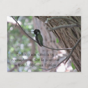 Carte Postale Citation de l'étude Meister Eckhart Colibri