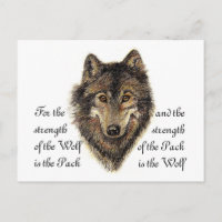 Citation de loup et de pack - Collection d'animaux