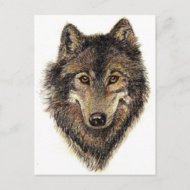 Carte Postale Citation de loup et de pack - Collection d'animaux (Devant)