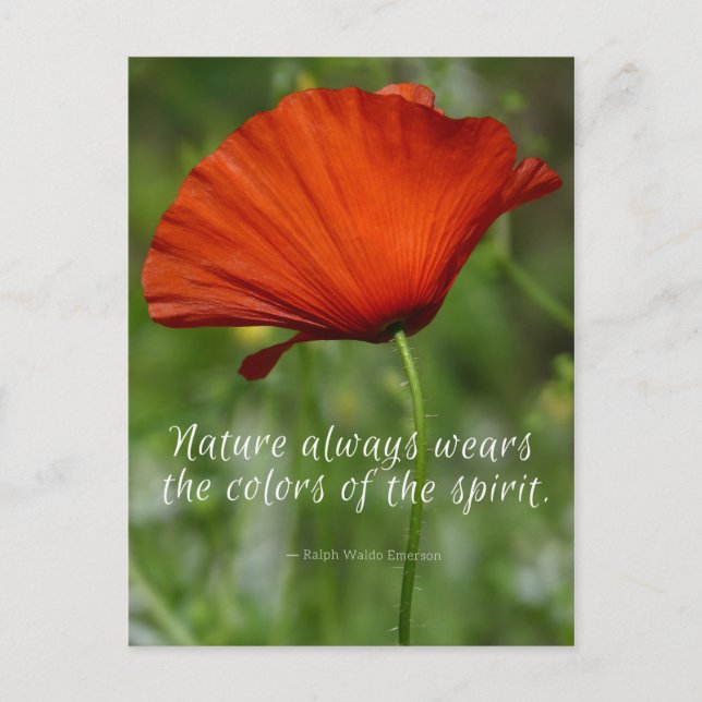 Carte Postale Citation de Red Poppy Emerson (Devant)