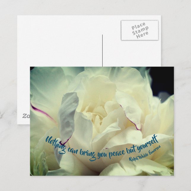 Carte Postale Citation inspirée White Peony Peace  (Devant / Derrière)