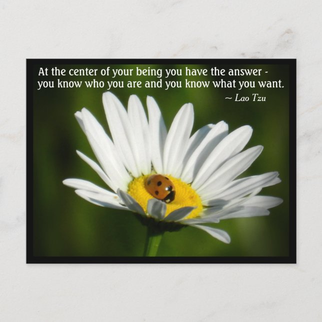 Carte Postale Citation Lao Tzu Ladybird Daisy Inspiration Motiva (Devant)