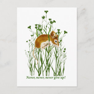 Carte Postale Citation Motivationnelle de souris mignonne N'aban