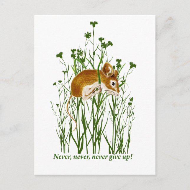 Carte Postale Citation Motivationnelle de souris mignonne N'aban (Devant)