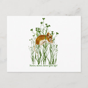 Carte Postale Citation Motivationnelle de souris mignonne N'aban
