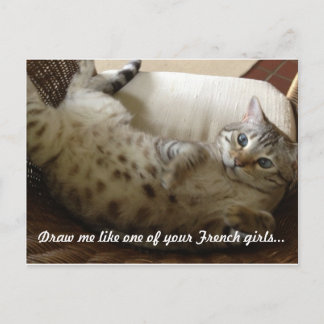 Carte Postale Citation Titanic Kitty