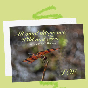 Carte Postale Citation Wild and Free Dragonfly Doré Photographiq