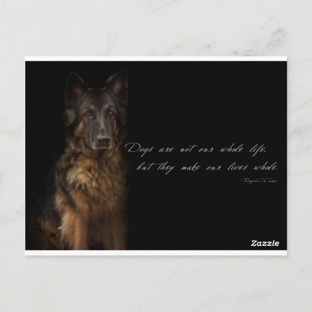 Carte Postale "citations de chien" (Dos)