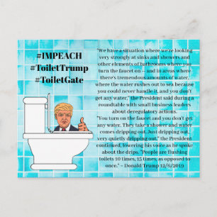 Carte Postale Citations stupides de Trump, Chasse d'eau 15 fois