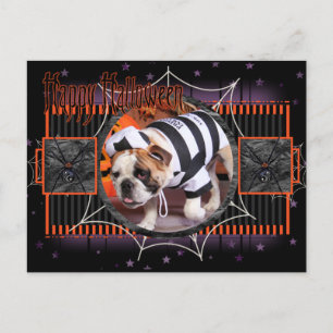 Carte Postale Citerne - Chien de taule anglais - Décapage