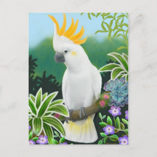 Carte postale Citron Cockatoo