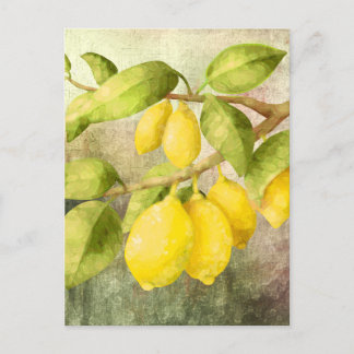 Carte Postale Citrons en peinture  