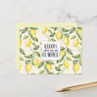 Citrons Jaunes Chic Floraison