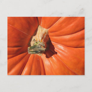 Carte Postale Citrouille