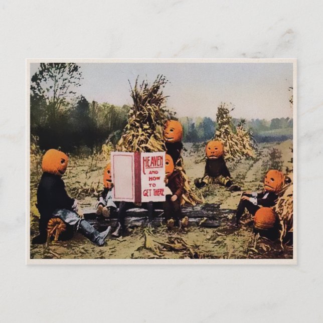 Carte postale Citrouille (Devant)