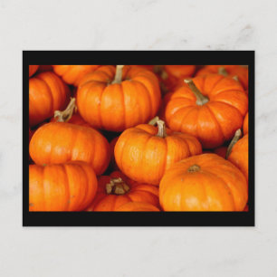 Carte Postale Citrouille