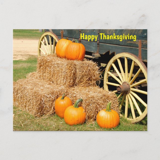 Carte Postale citrouille bon thanksgiving (Devant)